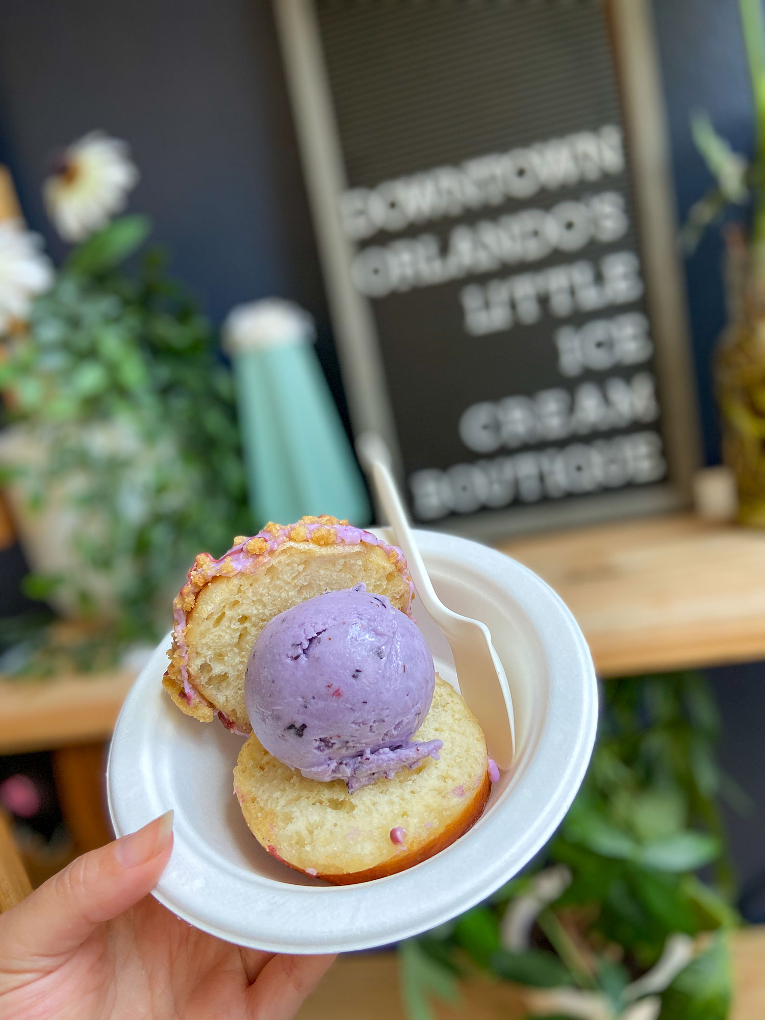 Where to Grab that Scoop of Ice Cream in Orlando