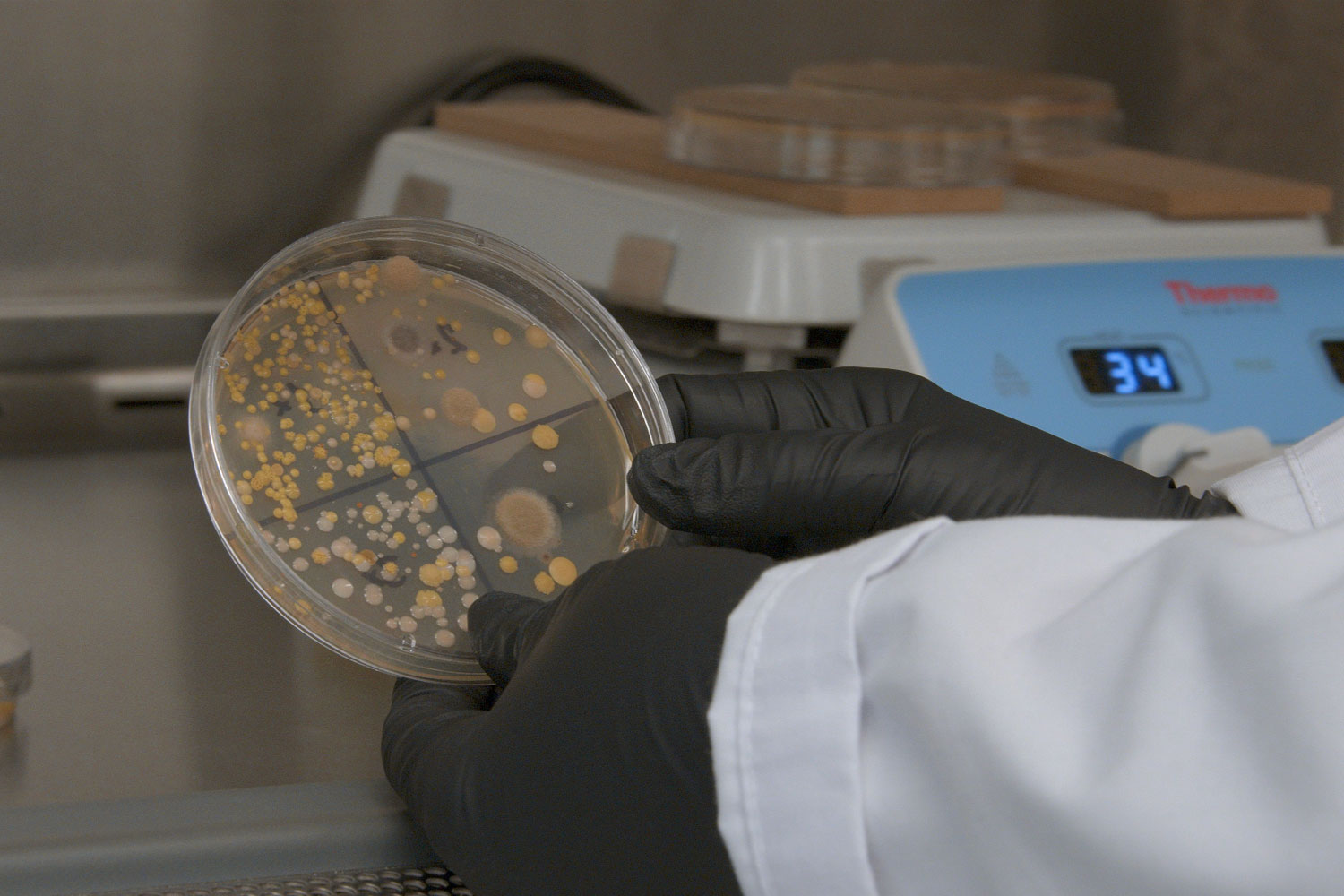 LeVar Burton’s Character Inspires Local Orlando Scientist