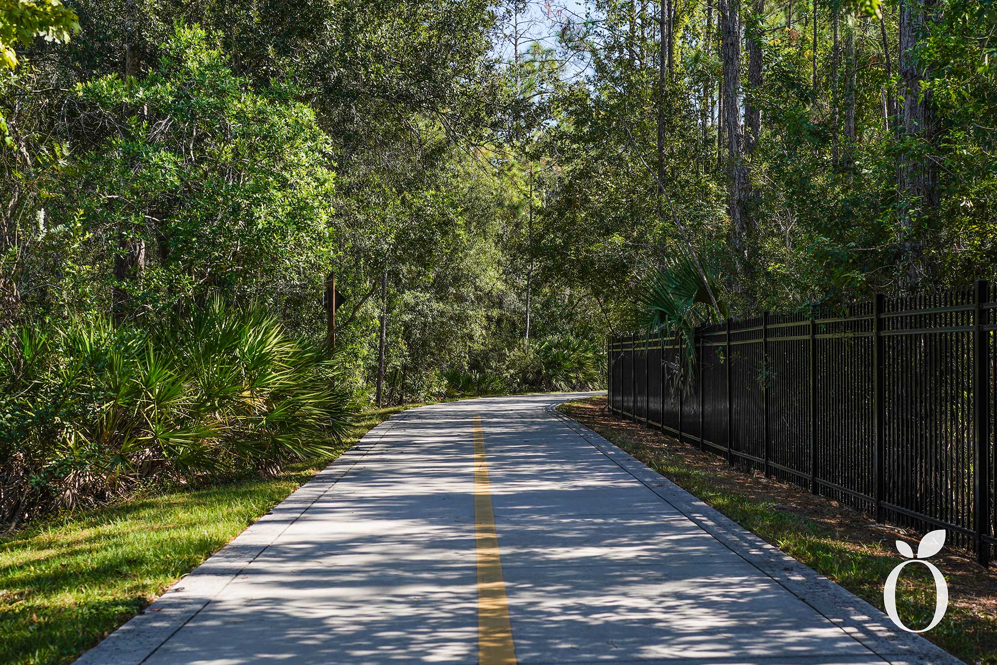 Explore Orlando’s Shingle Creek Trail