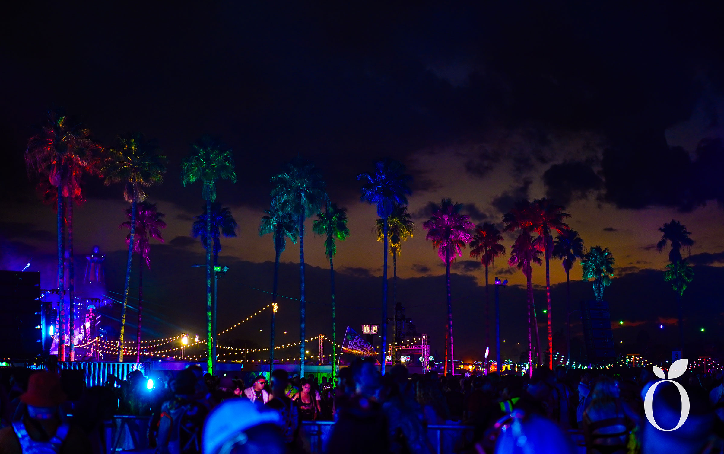 EDC Embodies the Culture of Orlando
