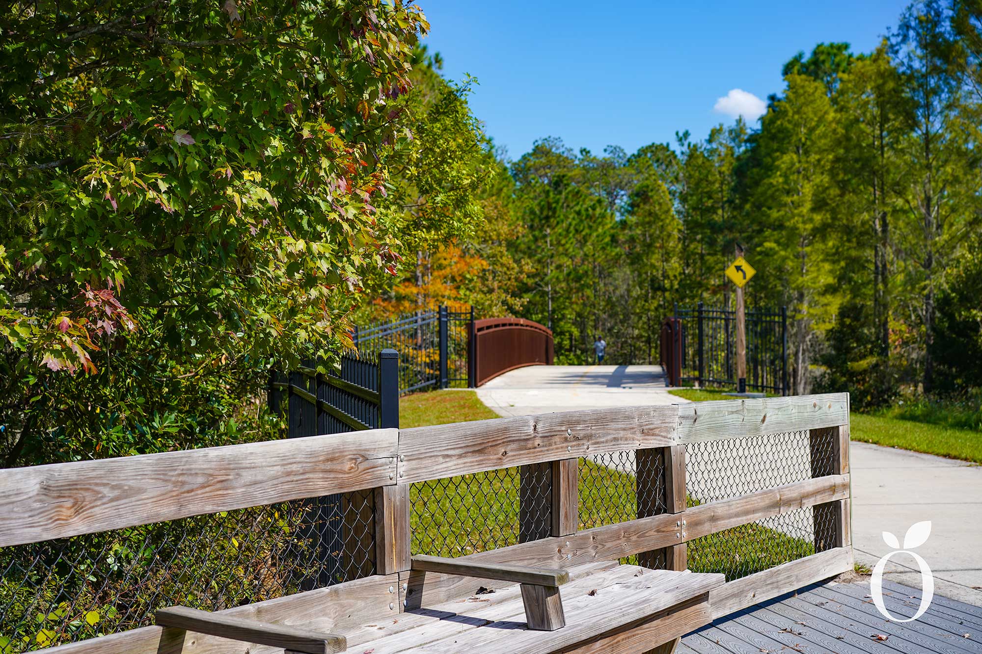 Explore Orlando’s Shingle Creek Trail