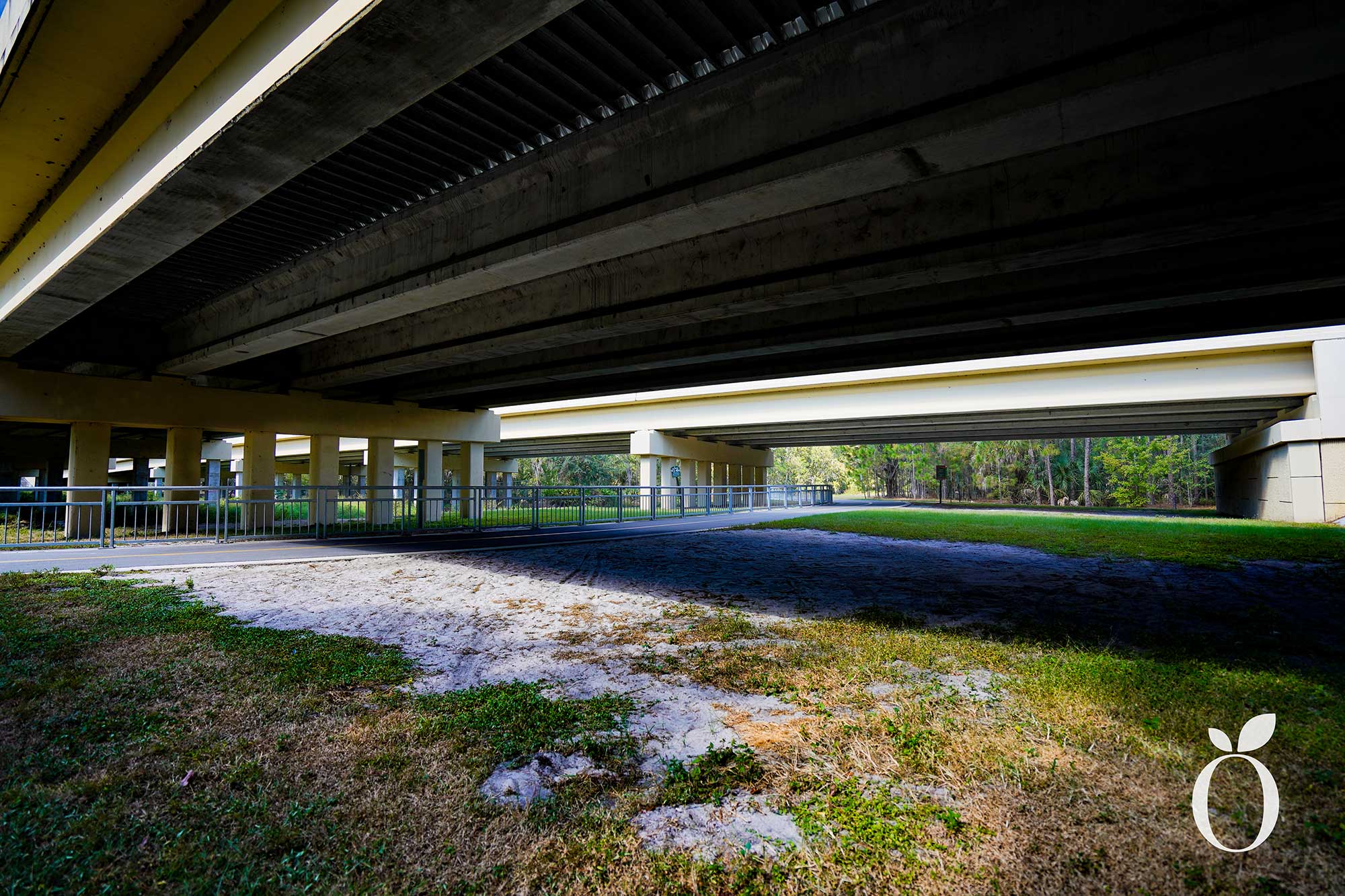 Explore Orlando’s Shingle Creek Trail