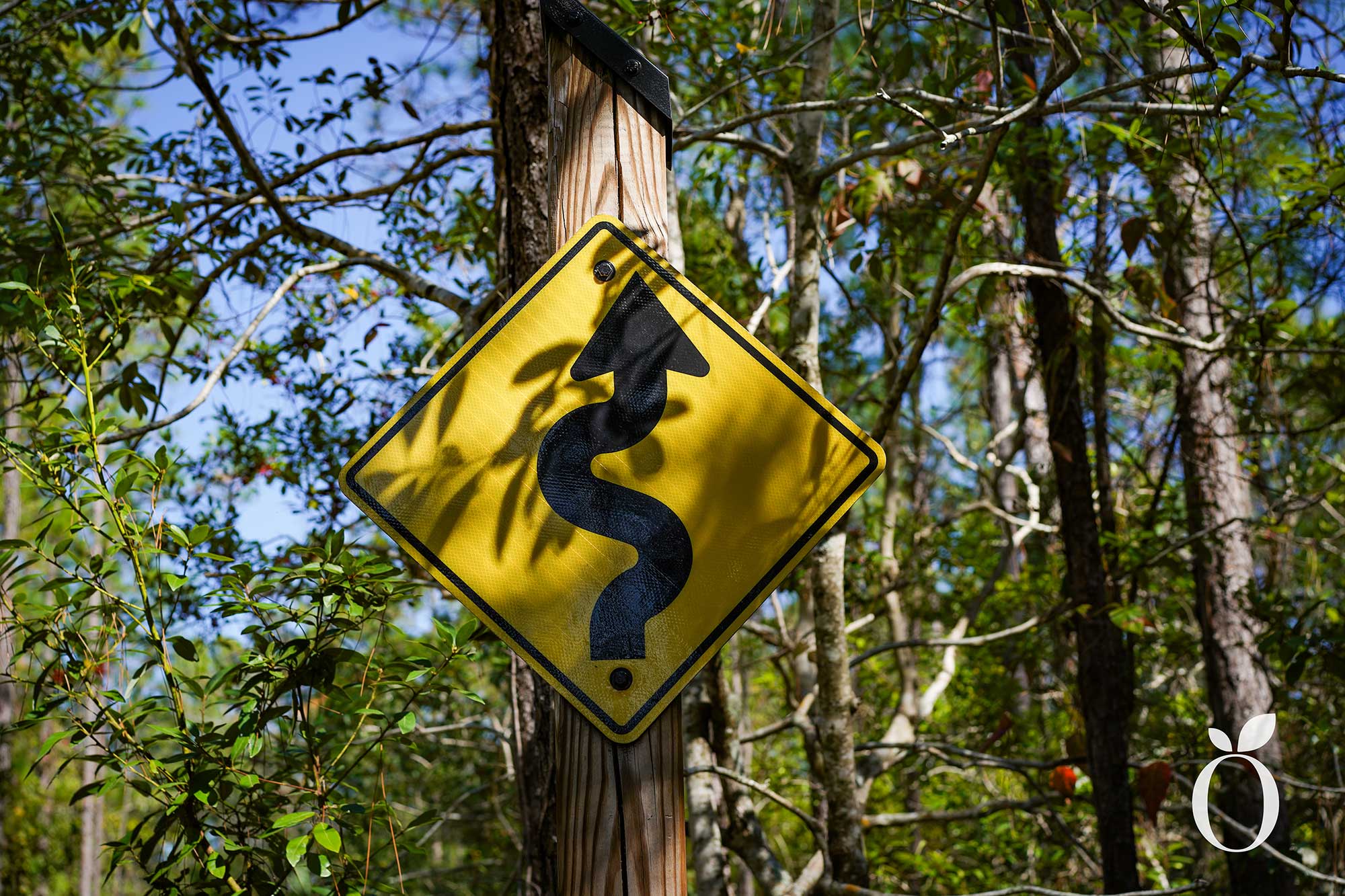 Explore Orlando’s Shingle Creek Trail