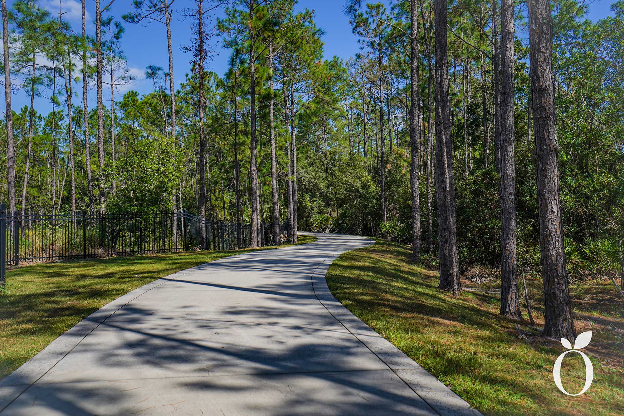 Explore Orlando’s Shingle Creek Trail