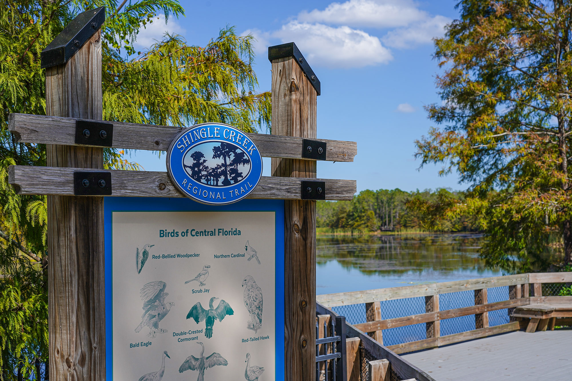Explore Orlando’s Shingle Creek Trail