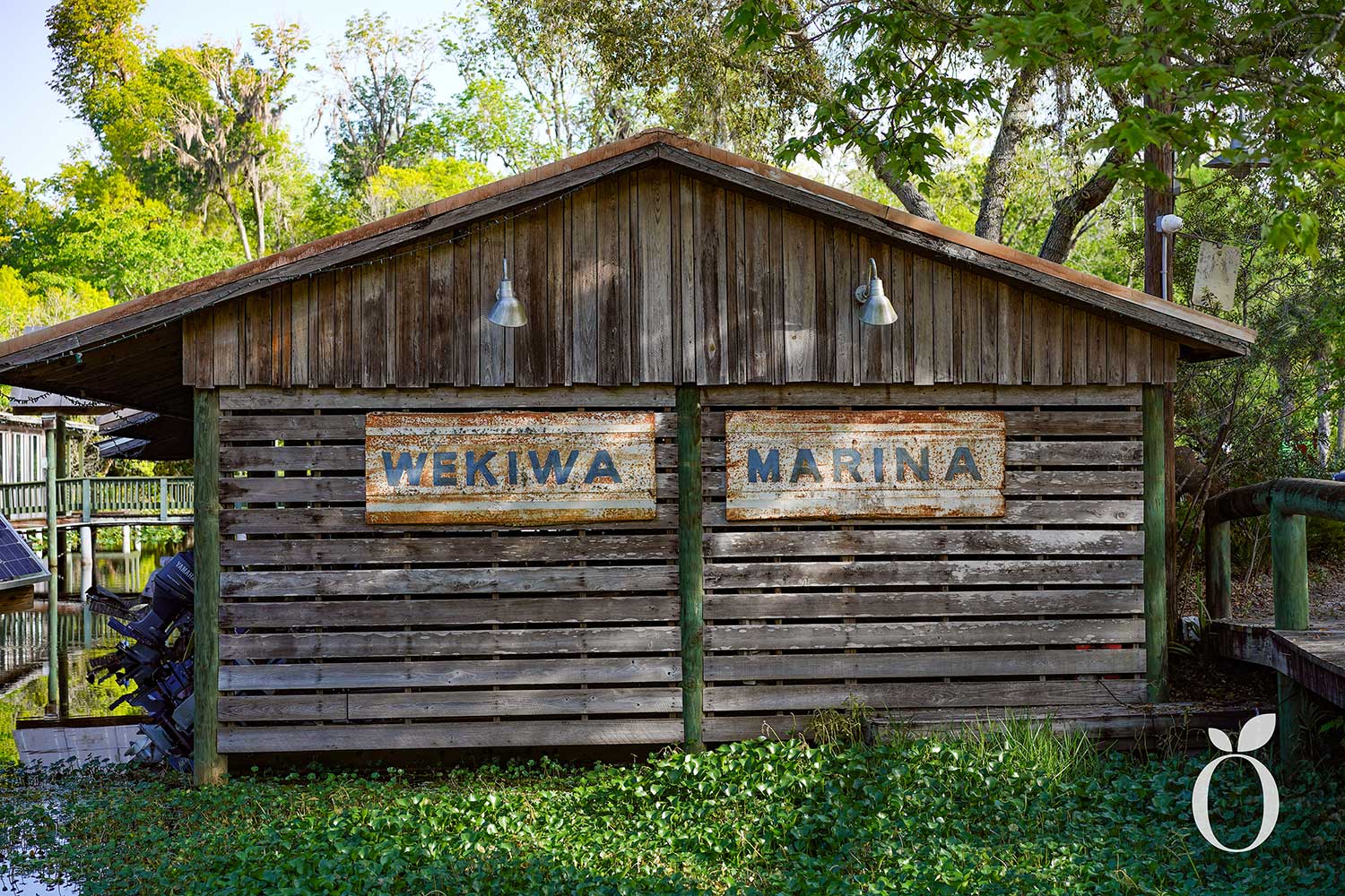 Free Educational Event Provides Experience of Wekiva River