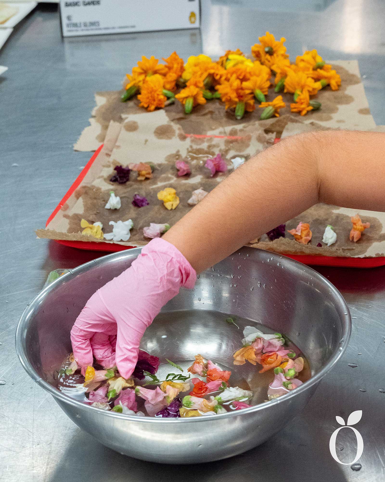 Elena Chitoroagi Wins Culinary Fusion Contest with Moldovan Dish
