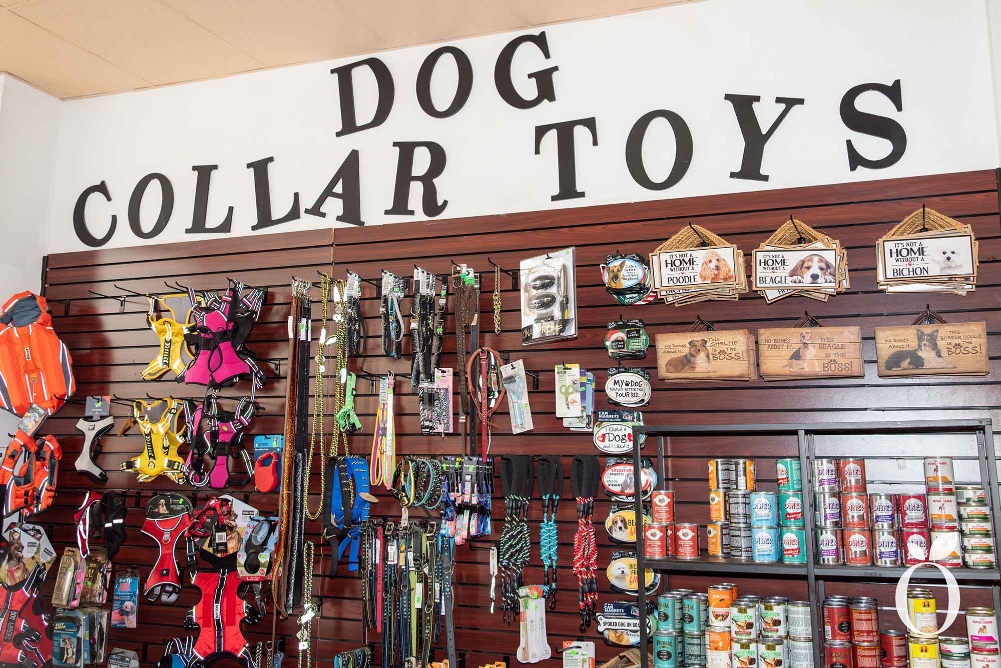 Is Orlando’s Dog Heaven Found in Baldwin Park?