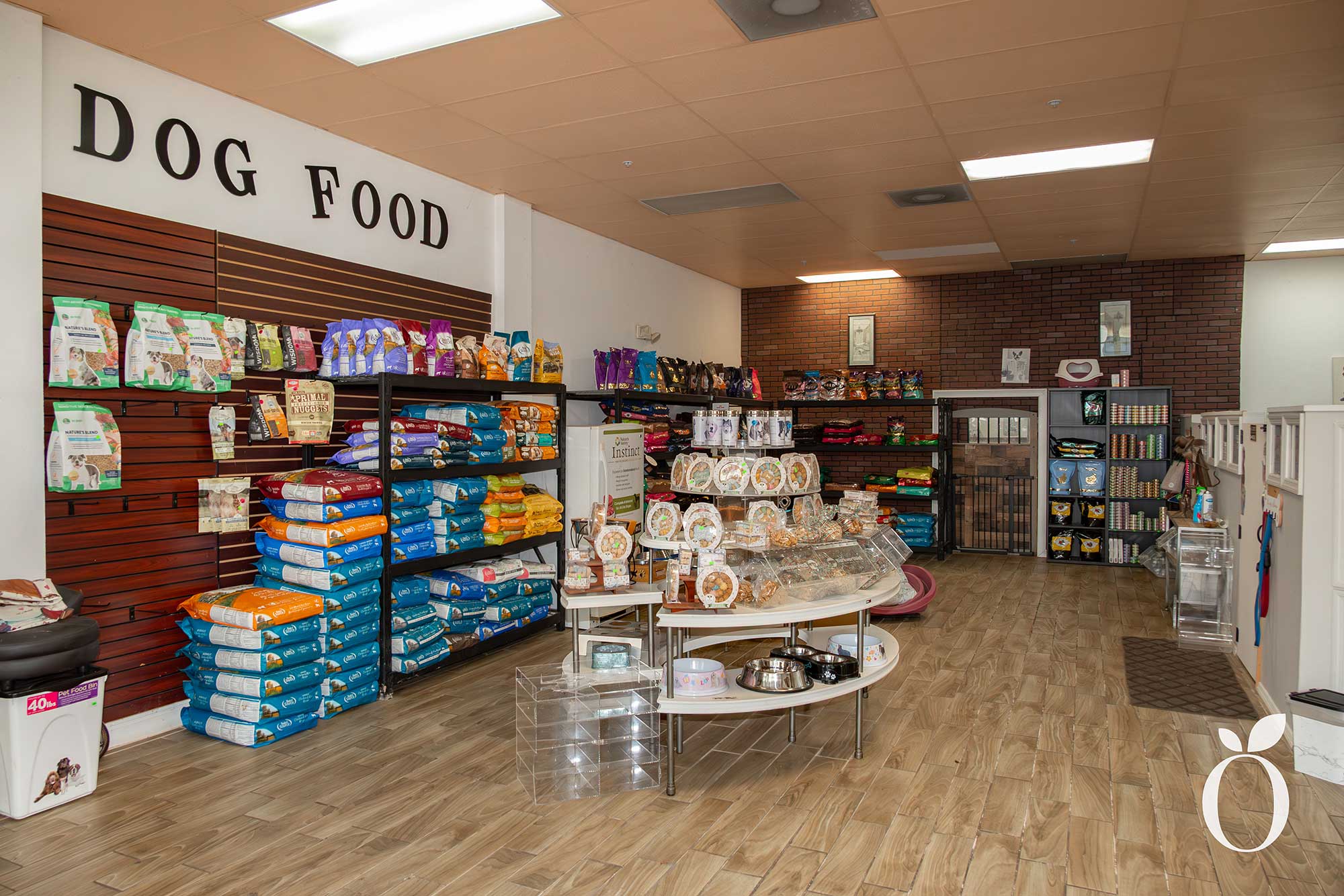 Is Orlando’s Dog Heaven Found in Baldwin Park?