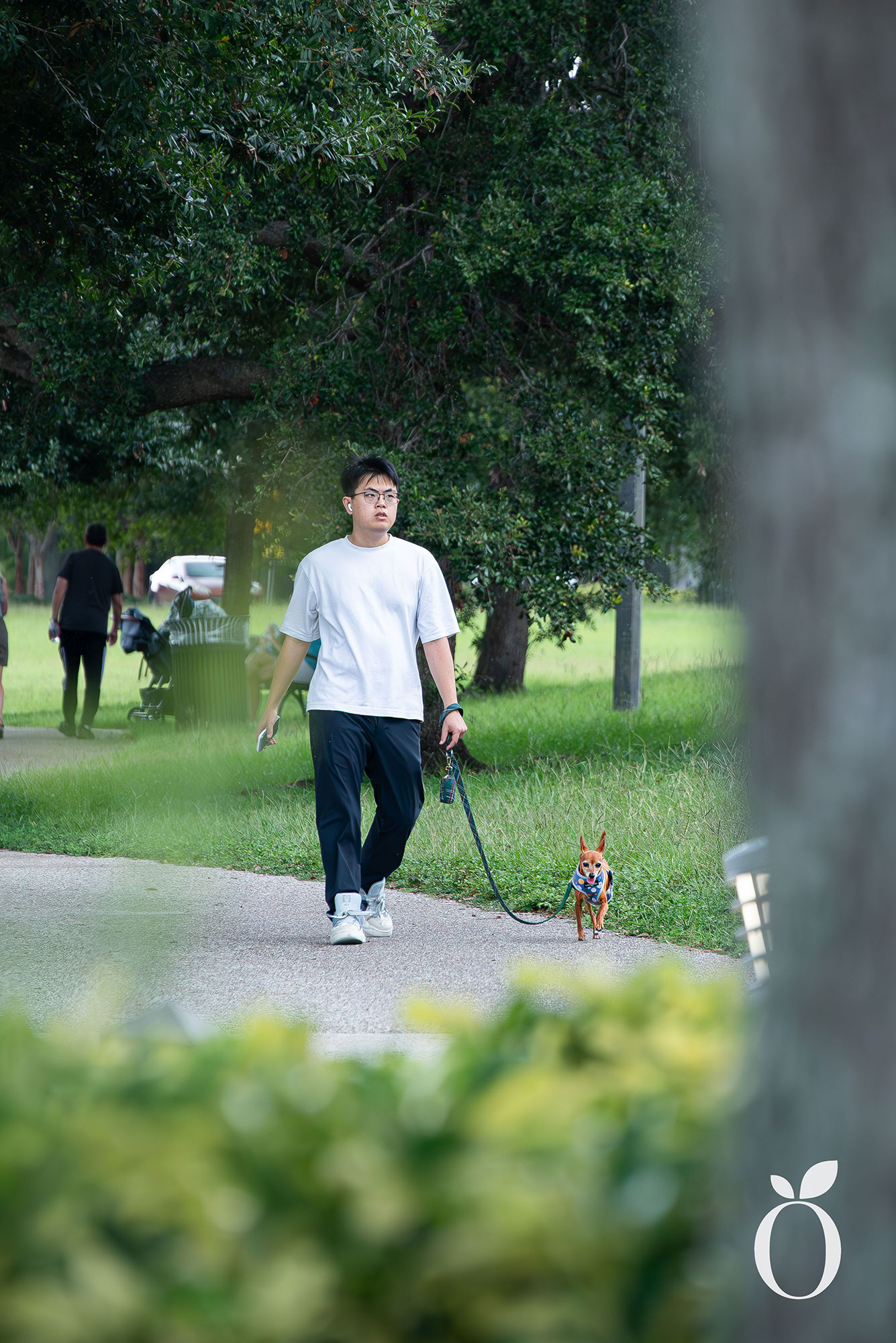 Is Orlando’s Dog Heaven Found in Baldwin Park?