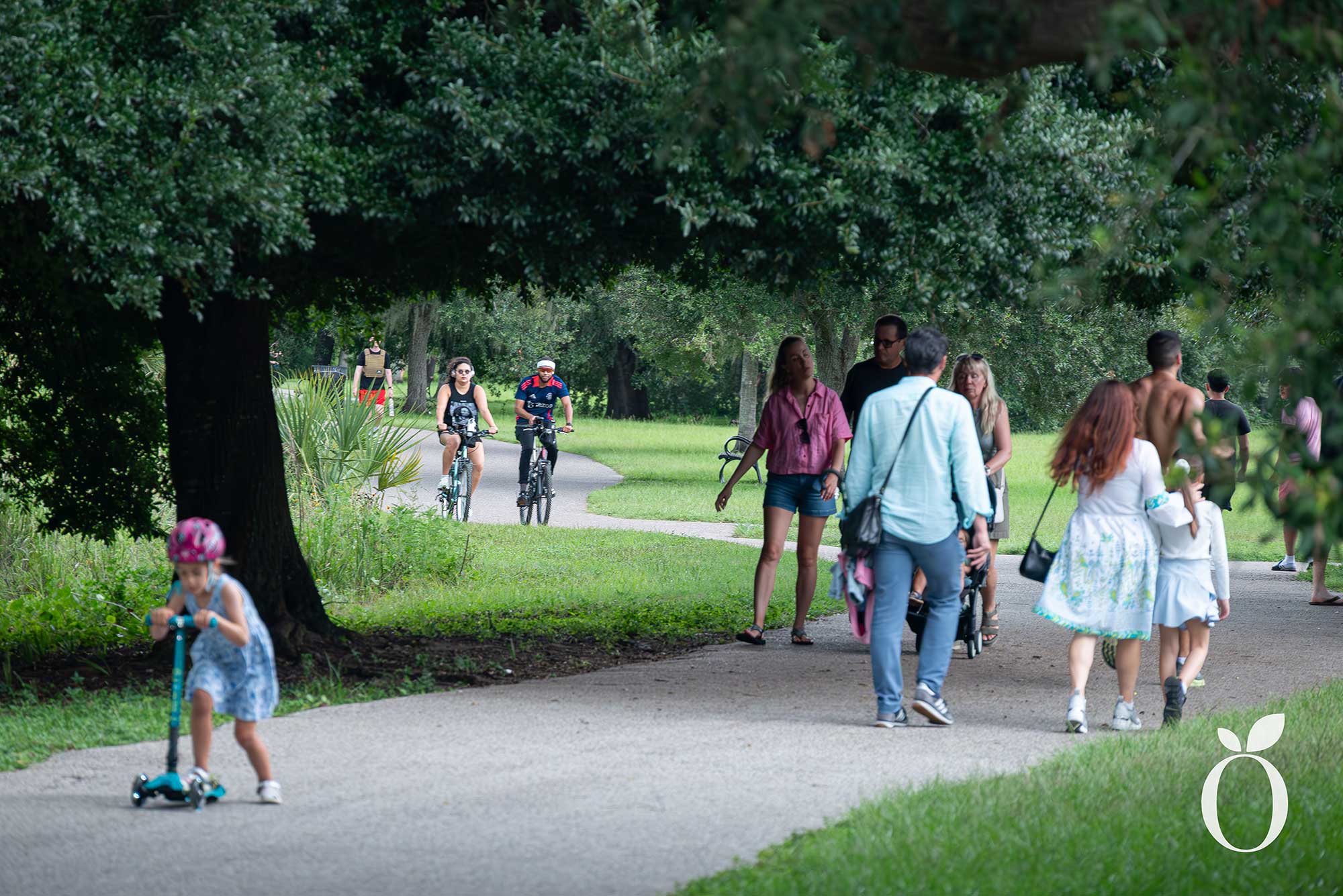 Is Orlando’s Dog Heaven Found in Baldwin Park?