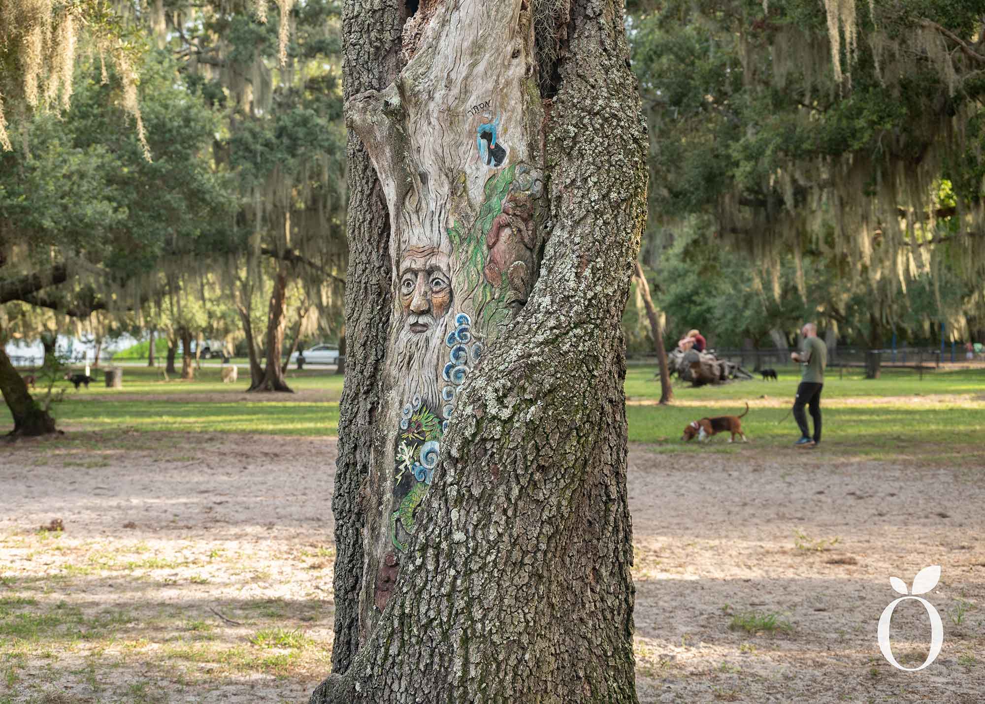 Is Orlando’s Dog Heaven Found in Baldwin Park?