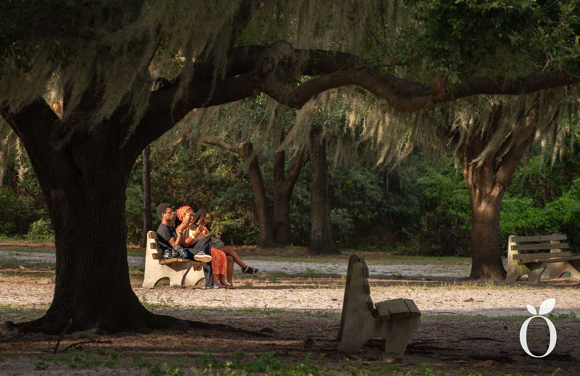 Is Orlando’s Dog Heaven Found in Baldwin Park?