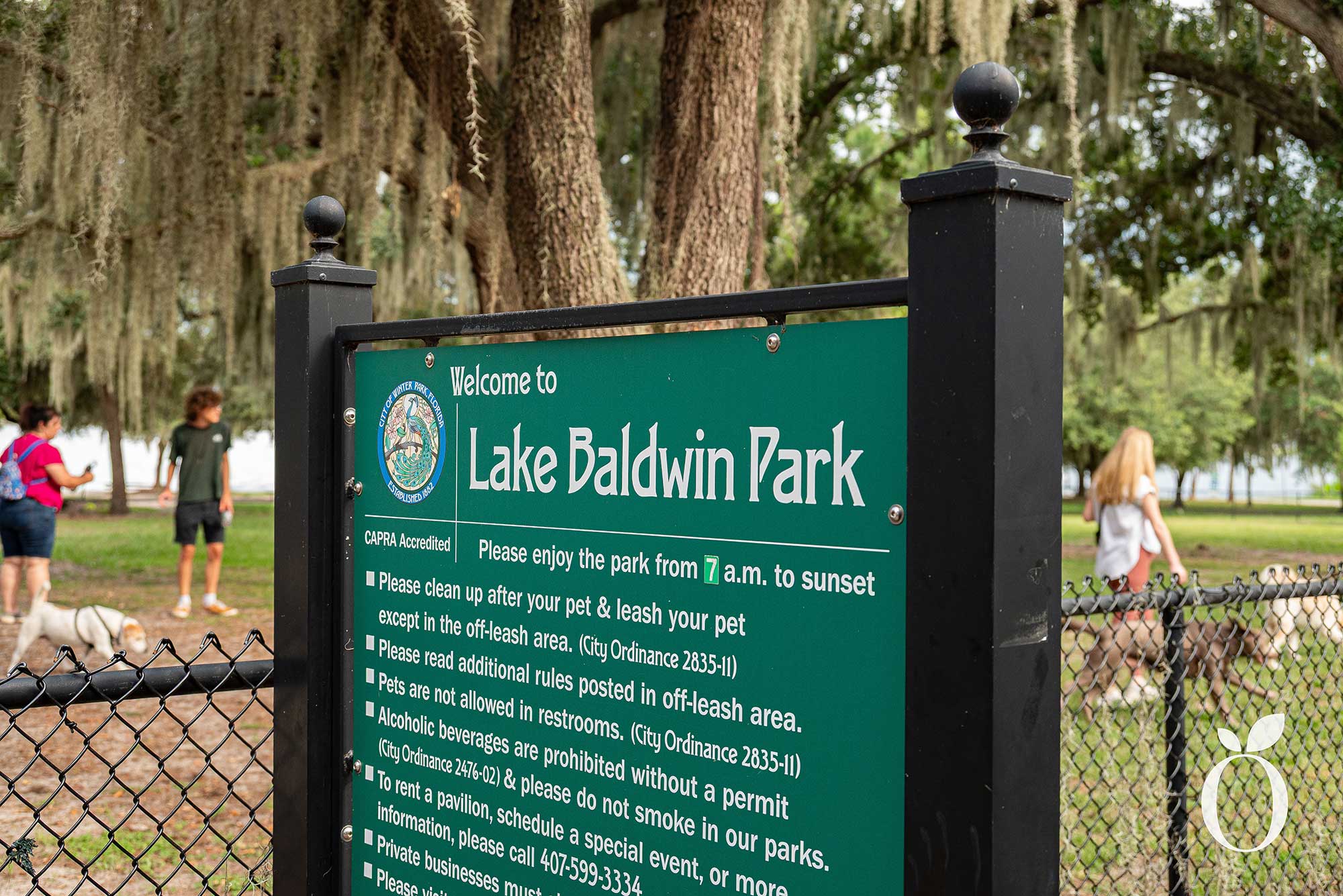 Is Orlando’s Dog Heaven Found in Baldwin Park?