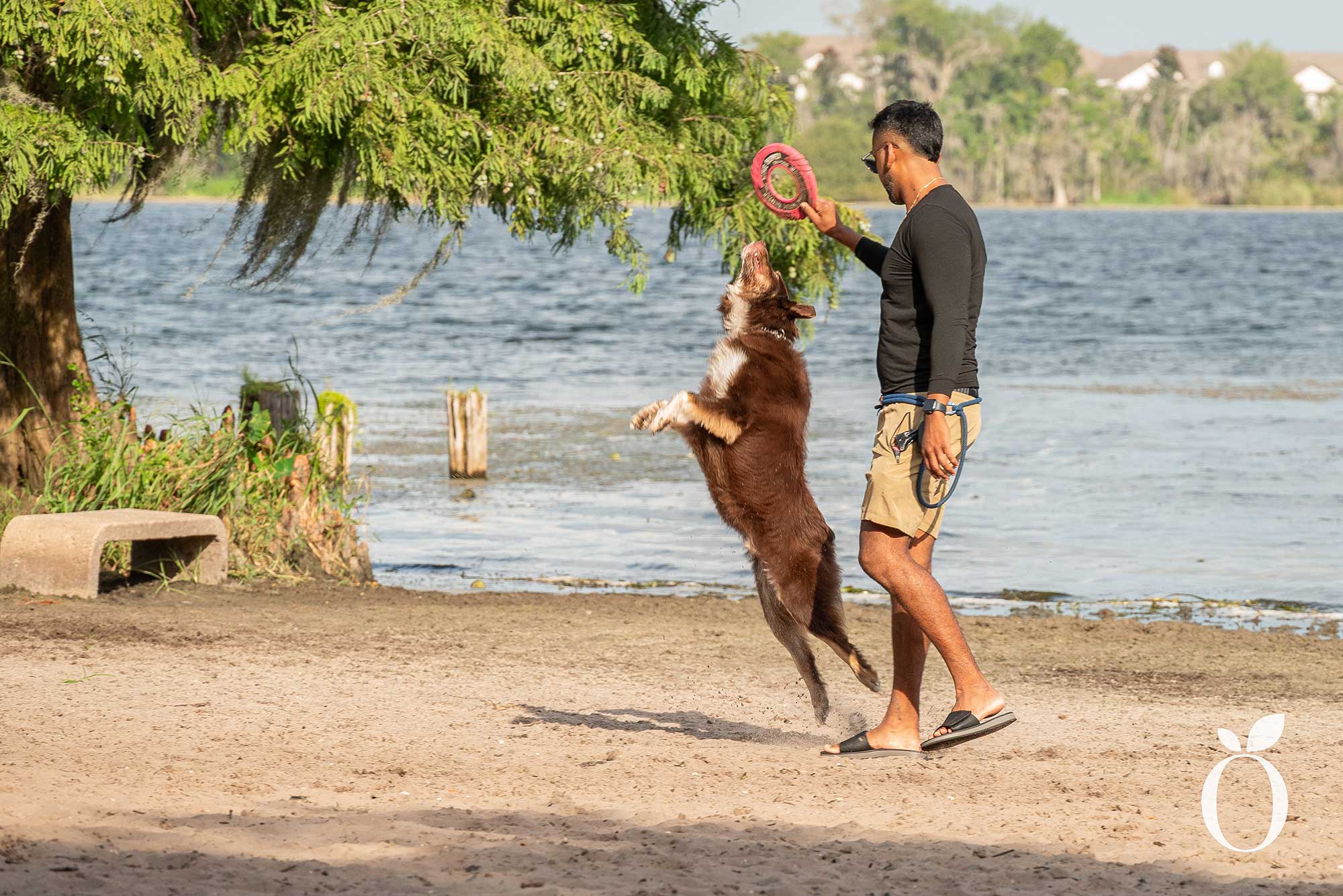 Is Orlando’s Dog Heaven Found in Baldwin Park?
