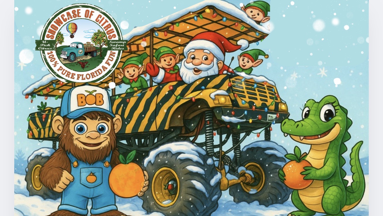 The Night Time Christmas Monster Truck Ride