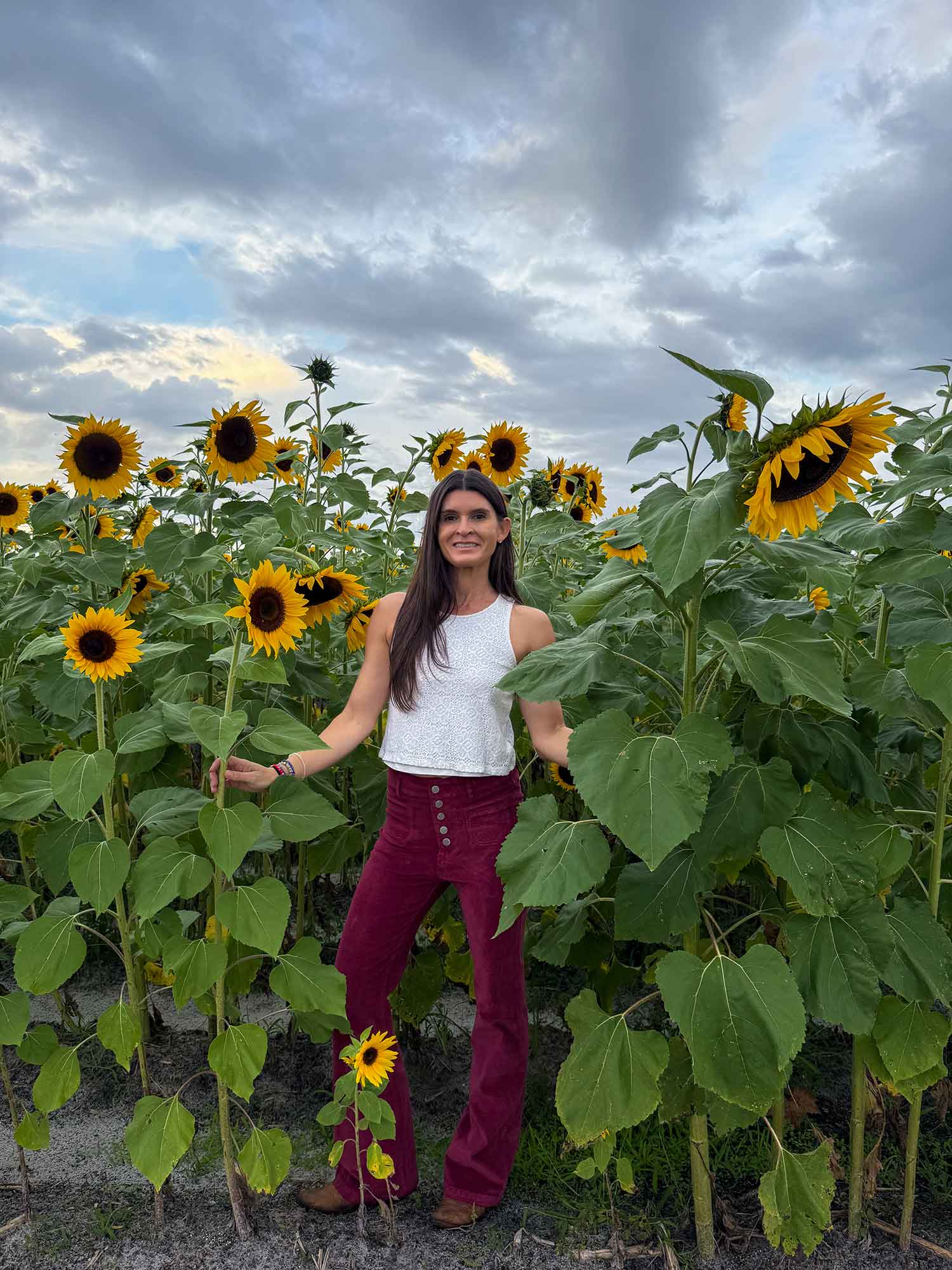 Holiday events in Orlando