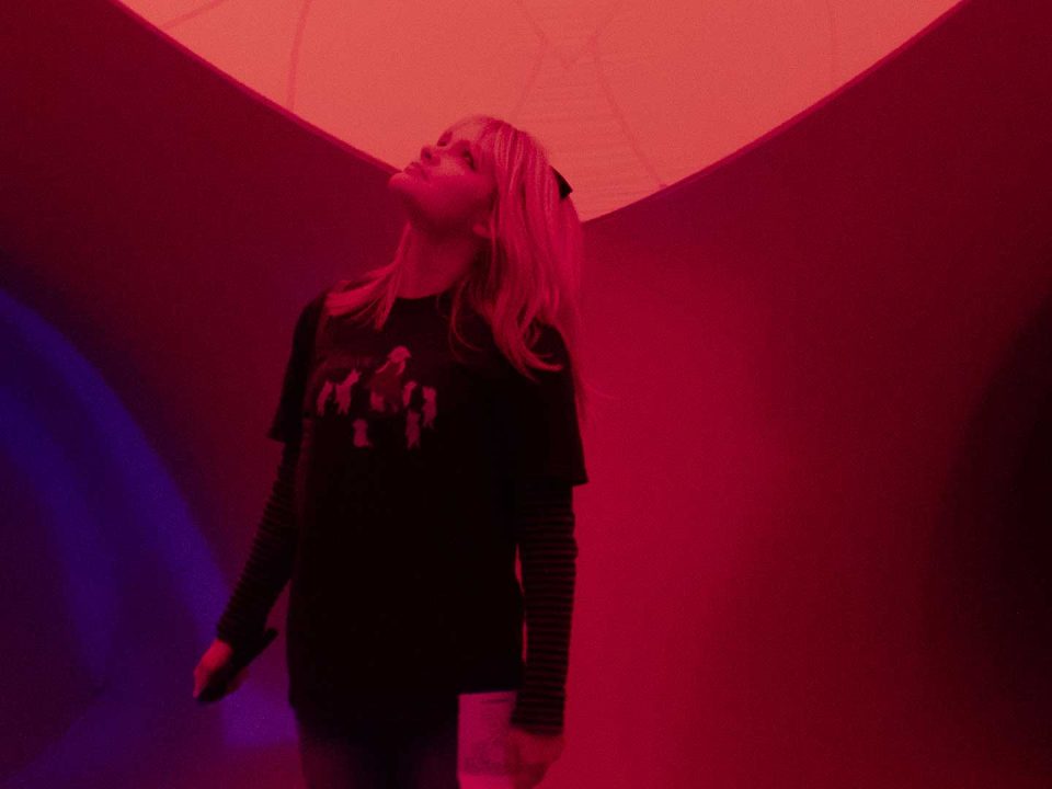 Immerse Orlando Architects of Air Arborialis