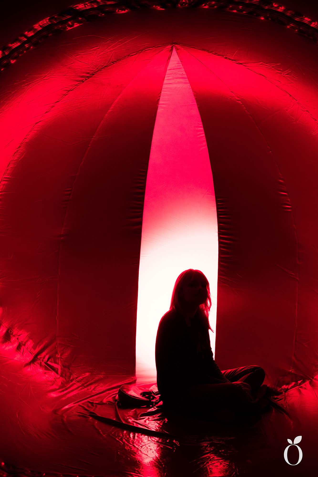 Immerse Orlando Architects of Air Arborialis