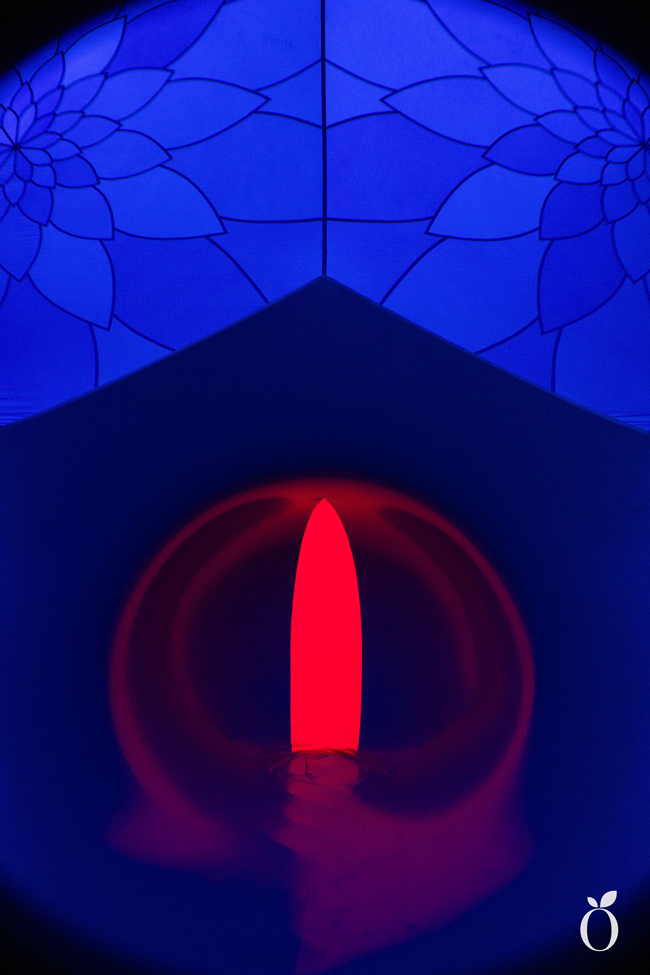 Immerse Orlando Architects of Air Arborialis