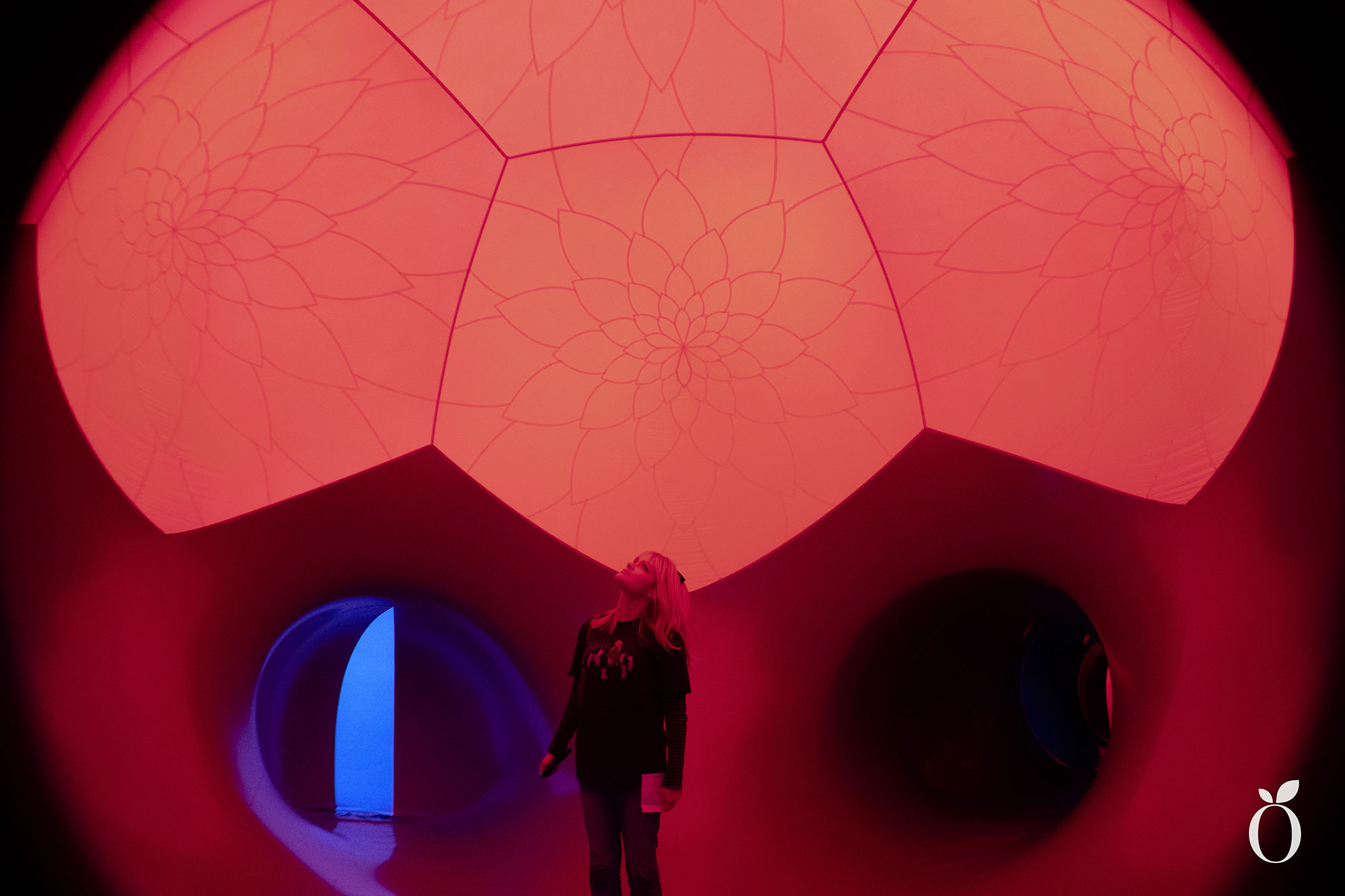 Immerse Orlando Architects of Air Arborialis