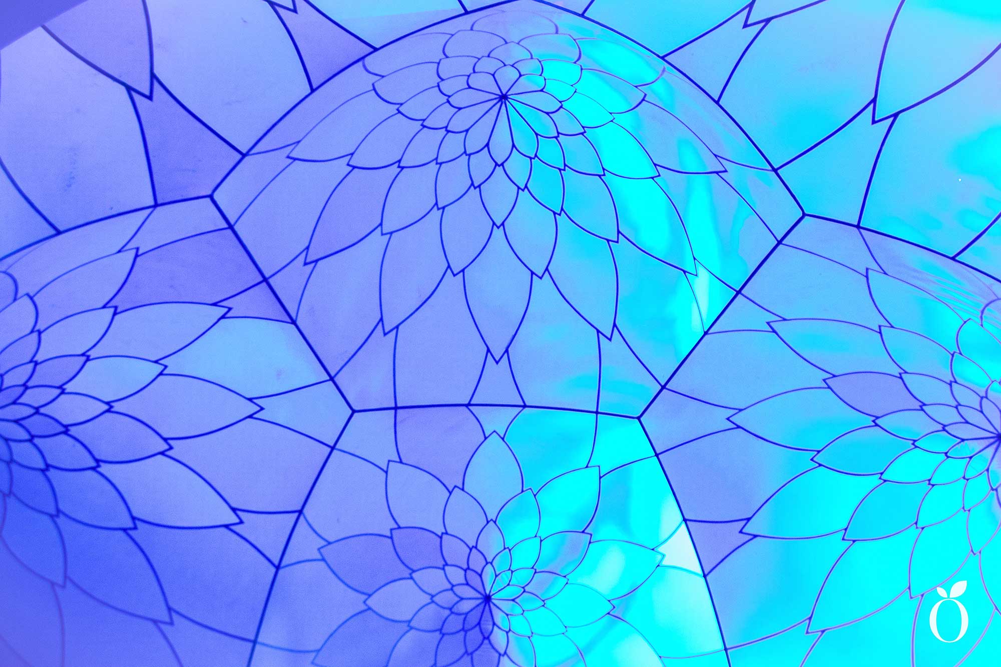 Immerse Orlando Architects of Air Arborialis