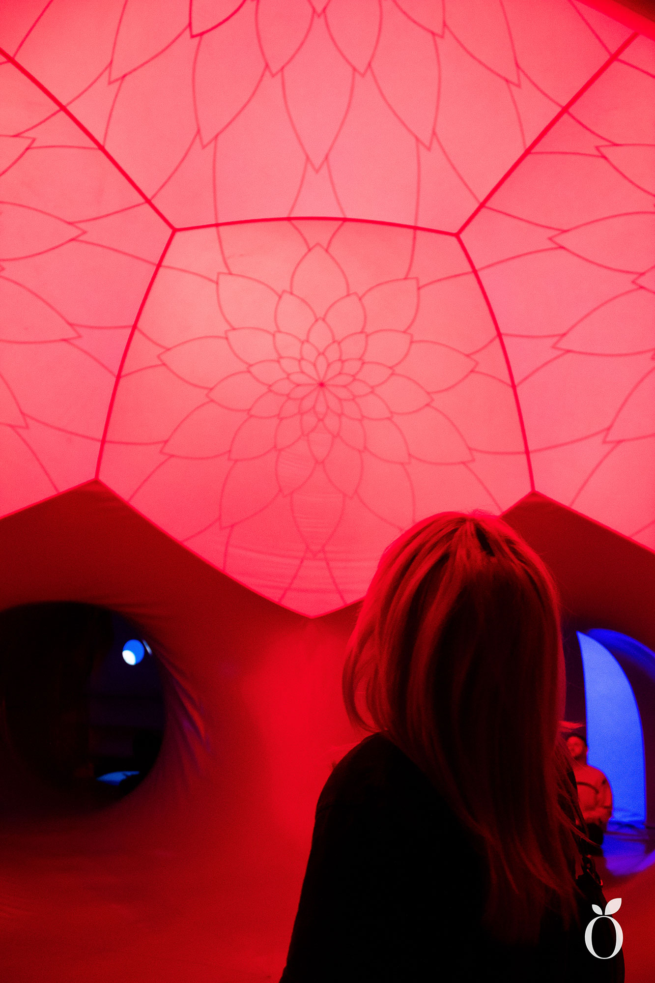 Immerse Orlando Architects of Air Arborialis