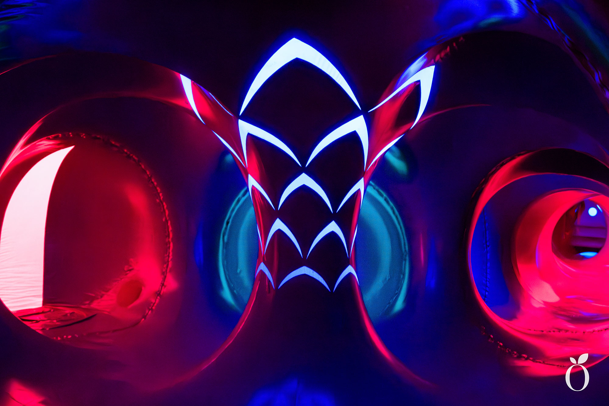 Immerse Orlando Architects of Air Arborialis