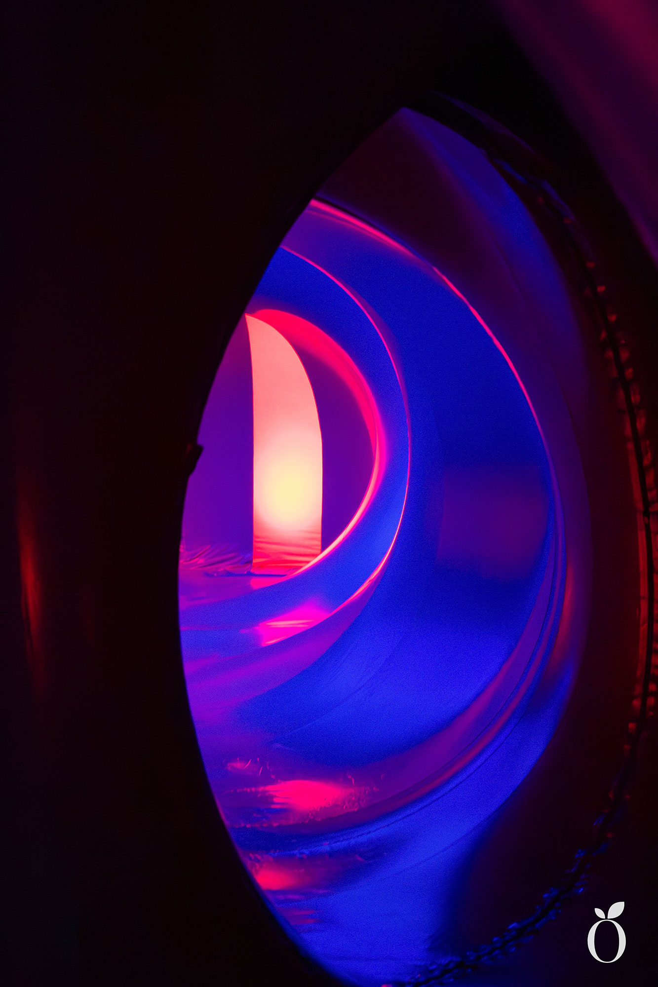 Immerse Orlando Architects of Air Arborialis