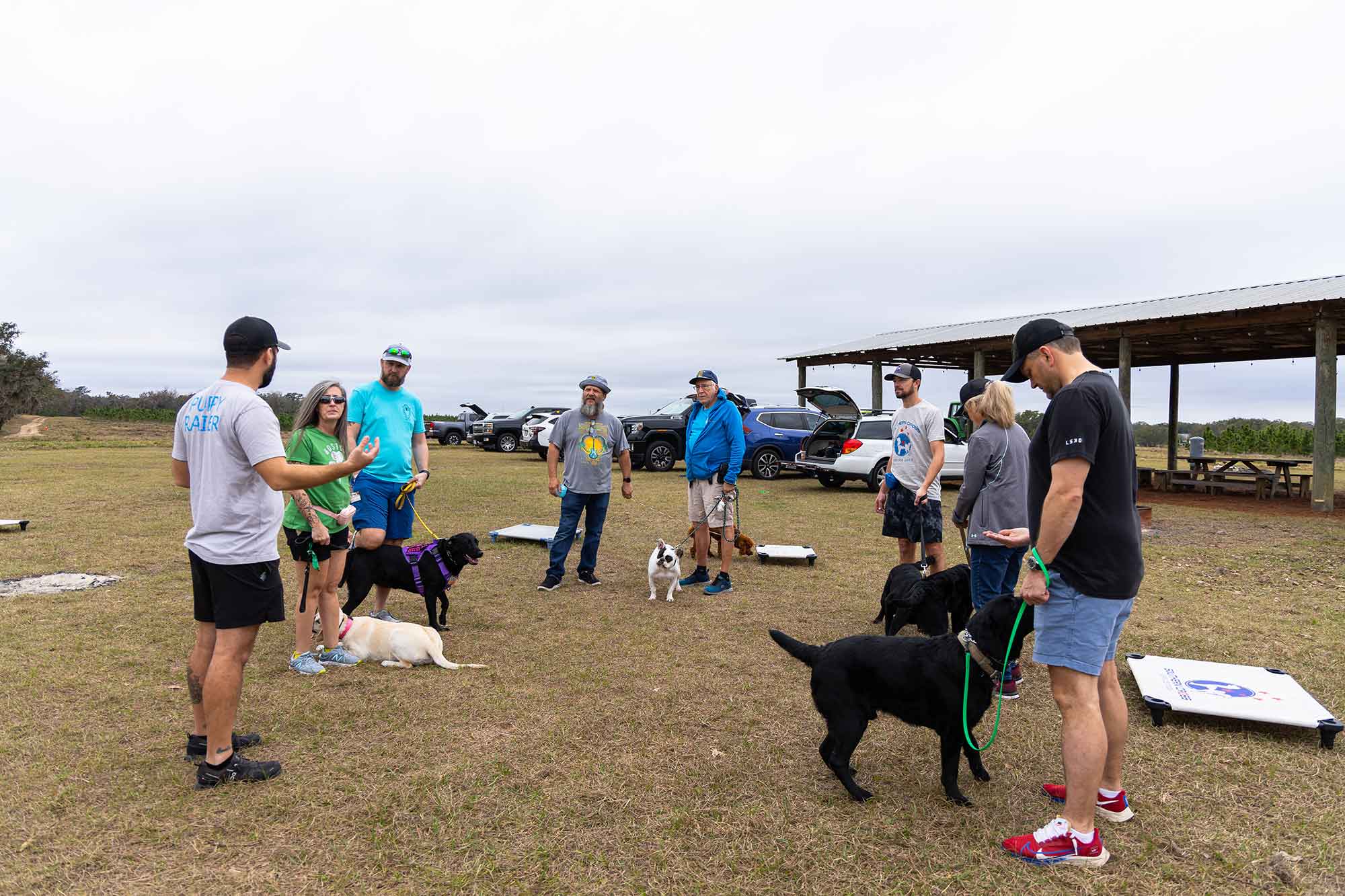 Southern Cross Service Dogs training