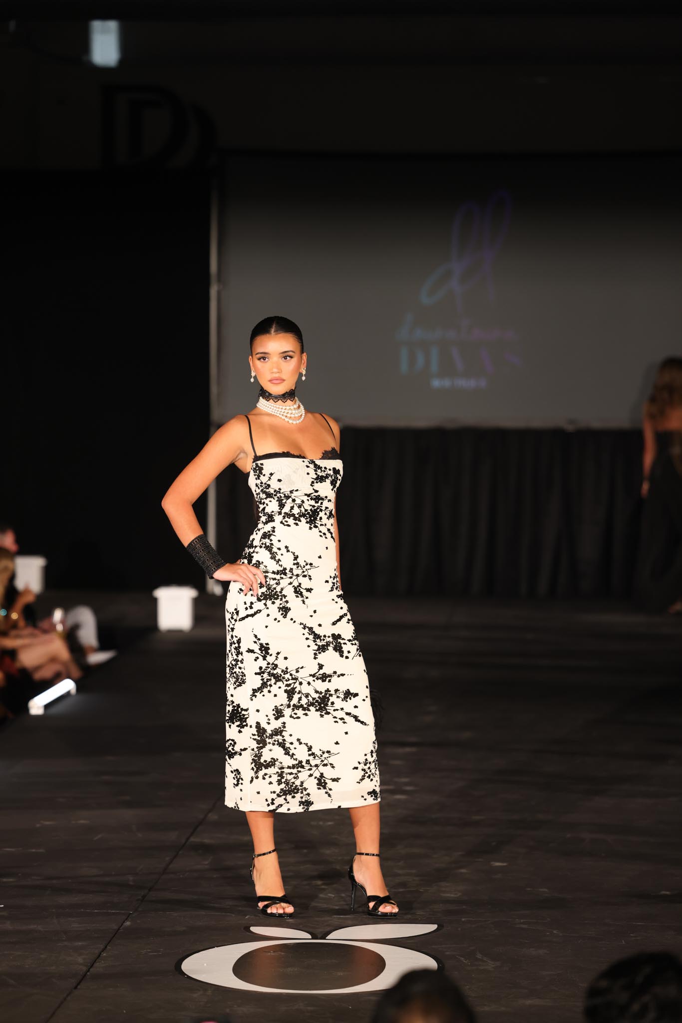 DIVA_IMG_6154