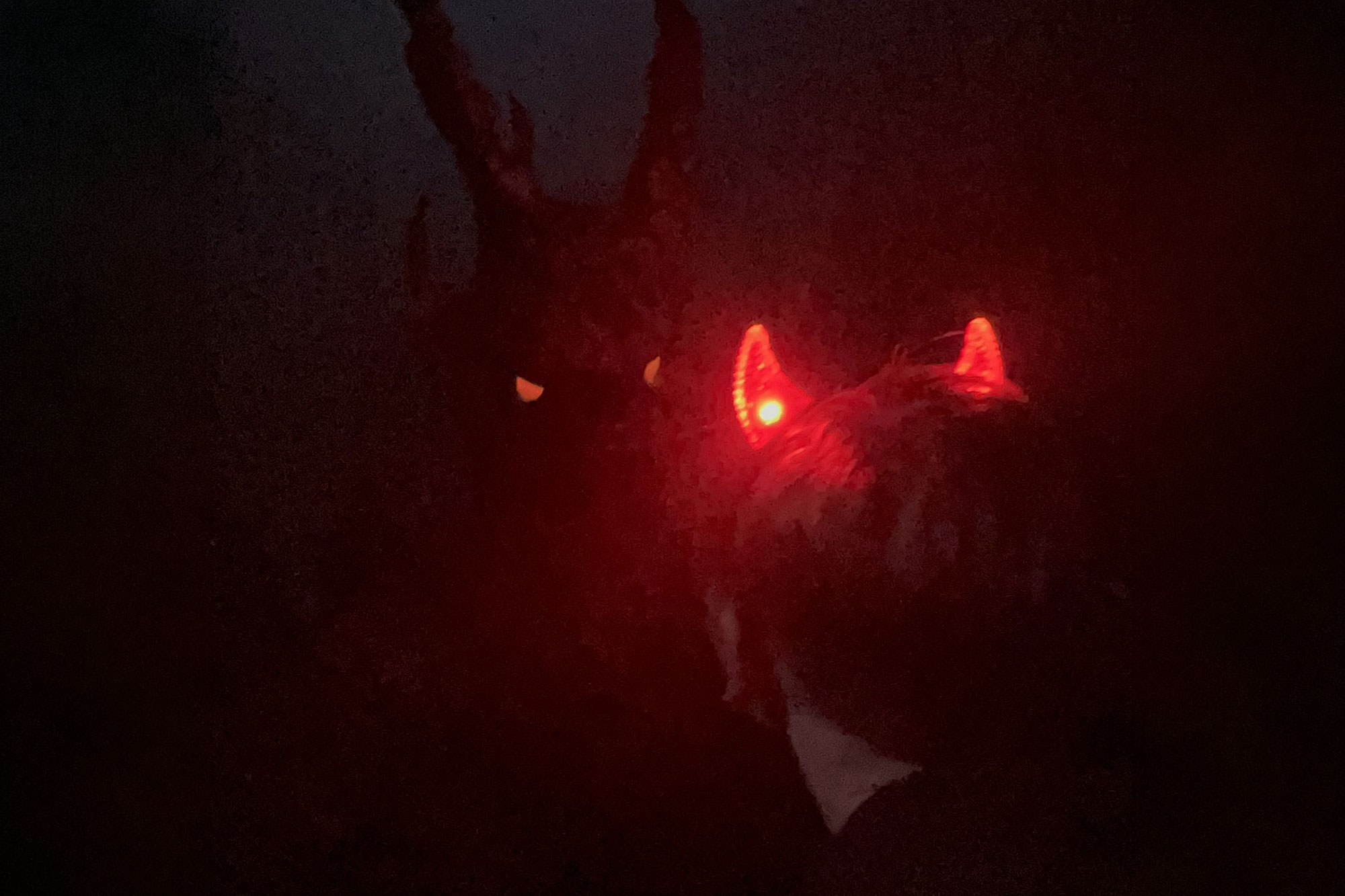 Halloween-events-in-Orlando-2026
